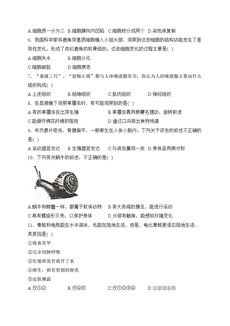 陕西省渭南市临渭区2023-2024学年七年级下学期期末考试生物试卷(含答案)第2页