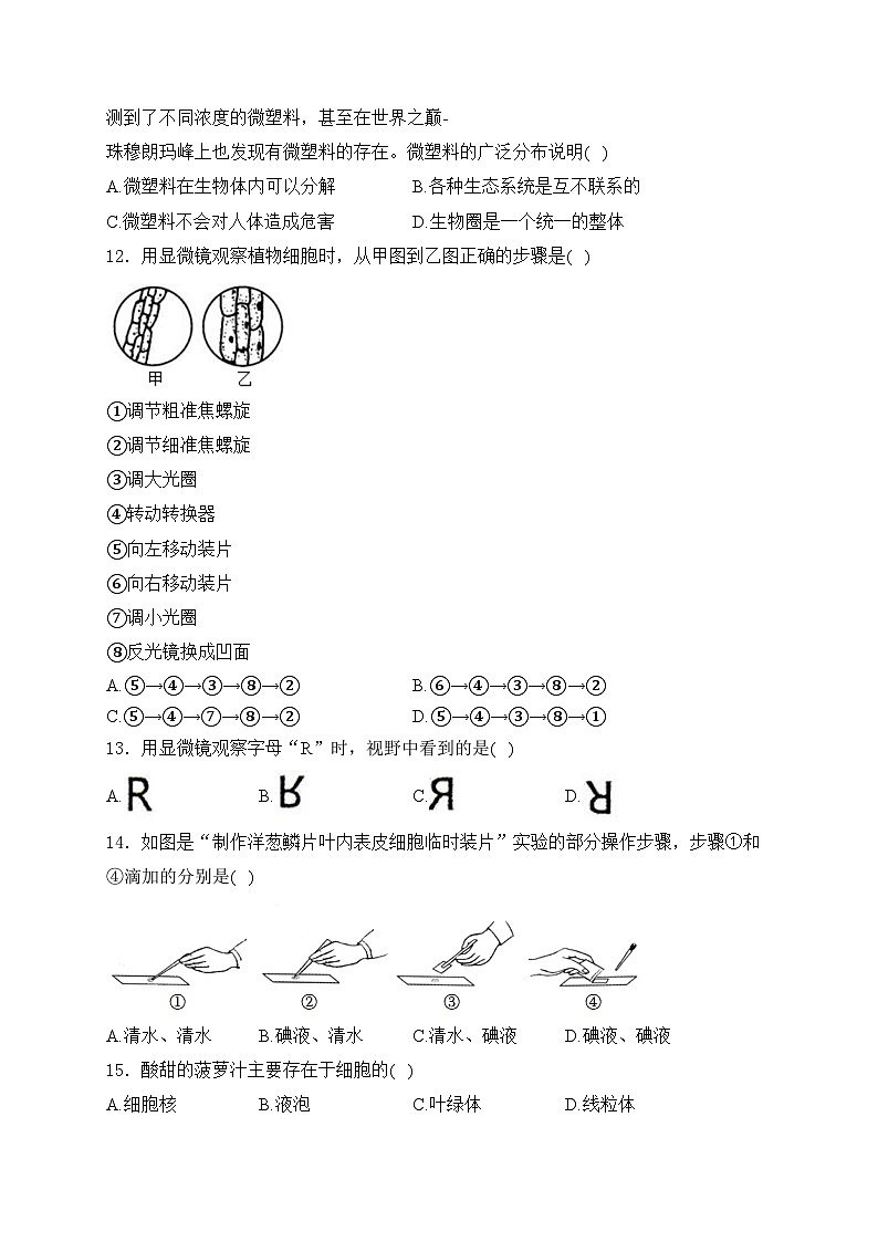 深圳大学附属中学2023-2024学年七年级上学期期中考试生物(含答案)03