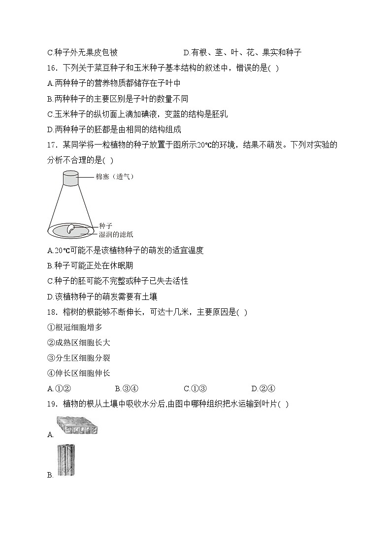 四川省凉山州宁南县2022-2023学年七年级上学期期末考试生物试卷(含答案)03