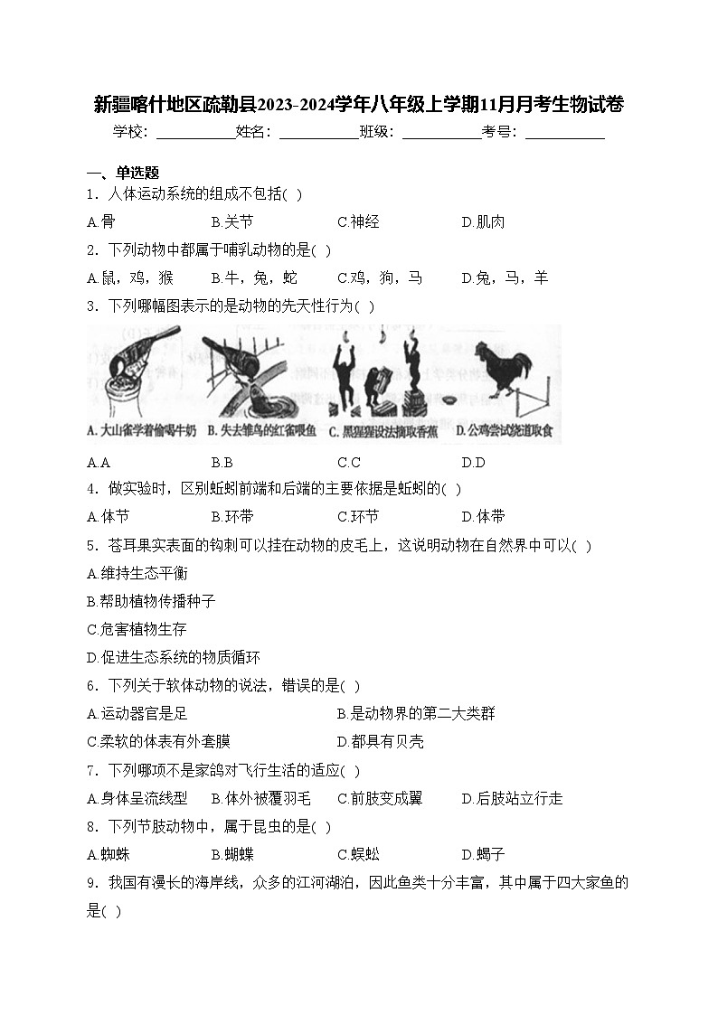 新疆喀什地区疏勒县2023-2024学年八年级上学期11月月考生物试卷(含答案)01