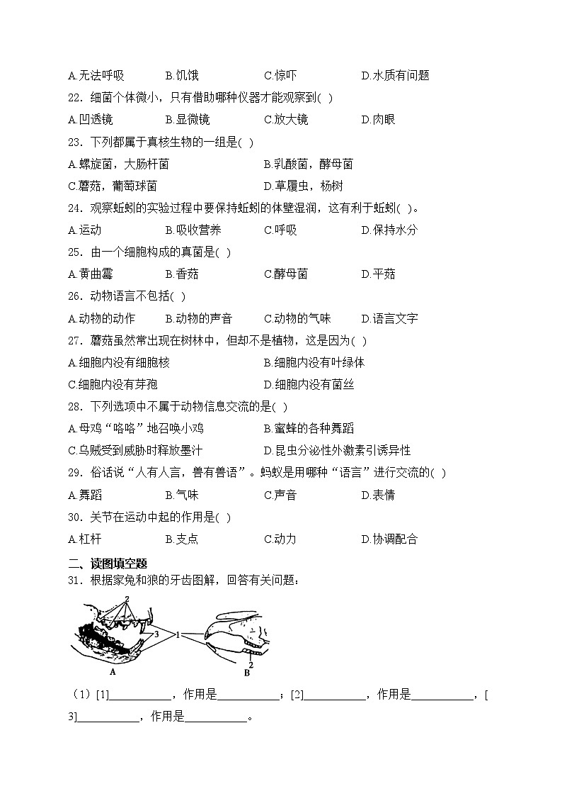 新疆喀什地区疏勒县2023-2024学年八年级上学期11月月考生物试卷(含答案)03