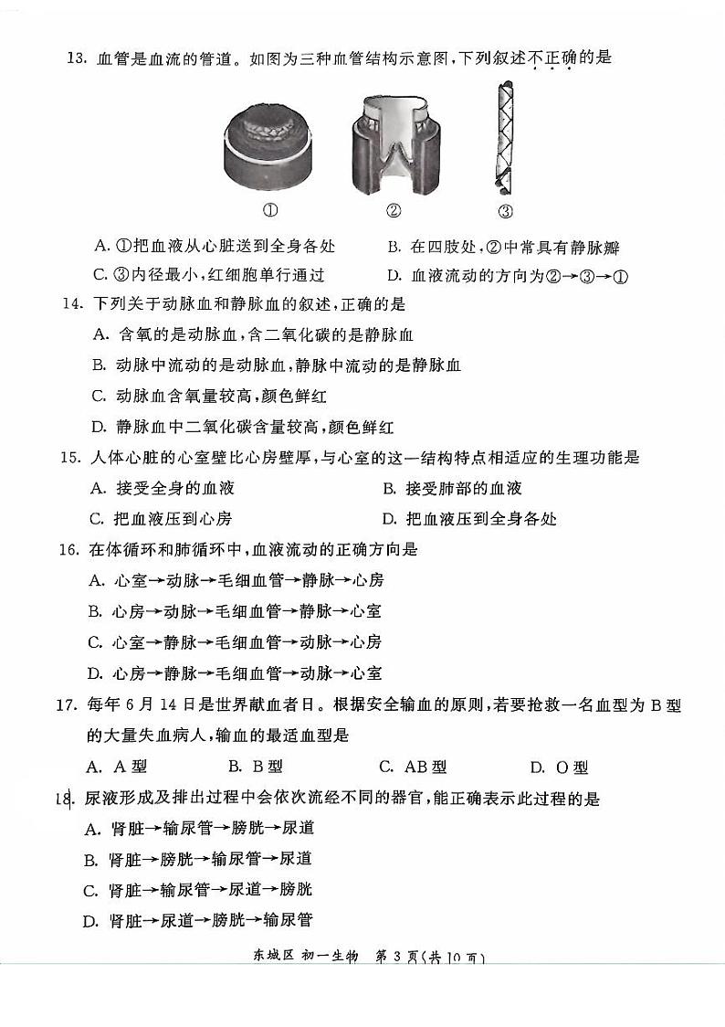 北京市东城区2023-2024学年七年级下学期期末生物试卷03