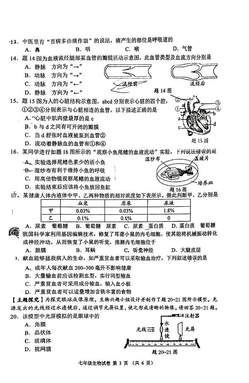 广东省佛山市顺德区2023-2024学年七年级下学期期末考试生物试题 广东省佛山市顺德区2023-2024学年七年级下学期期末考试生物试卷第3页