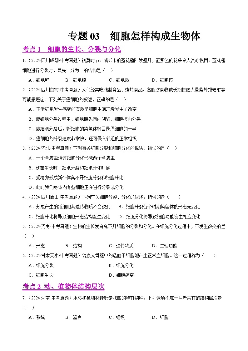 专题03  细胞怎样构成生物体（教师卷+学生卷）- 2024年中考生物真题分类汇编（全国通用）01