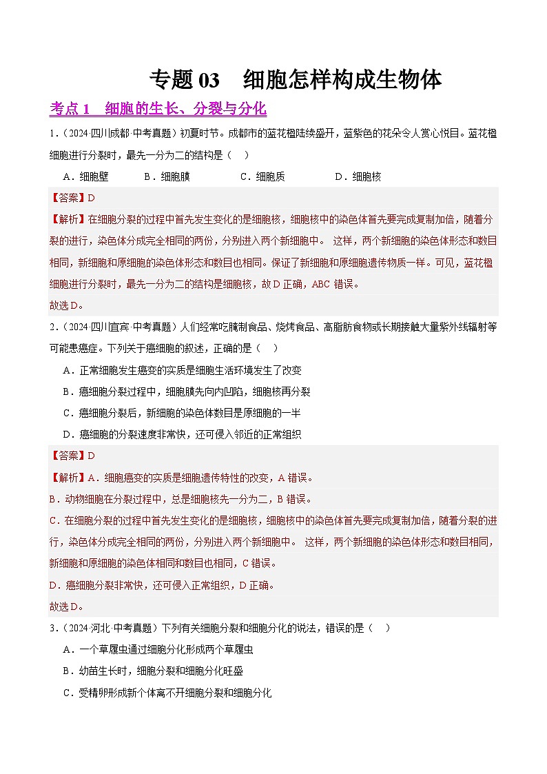 专题03  细胞怎样构成生物体（教师卷+学生卷）- 2024年中考生物真题分类汇编（全国通用）01