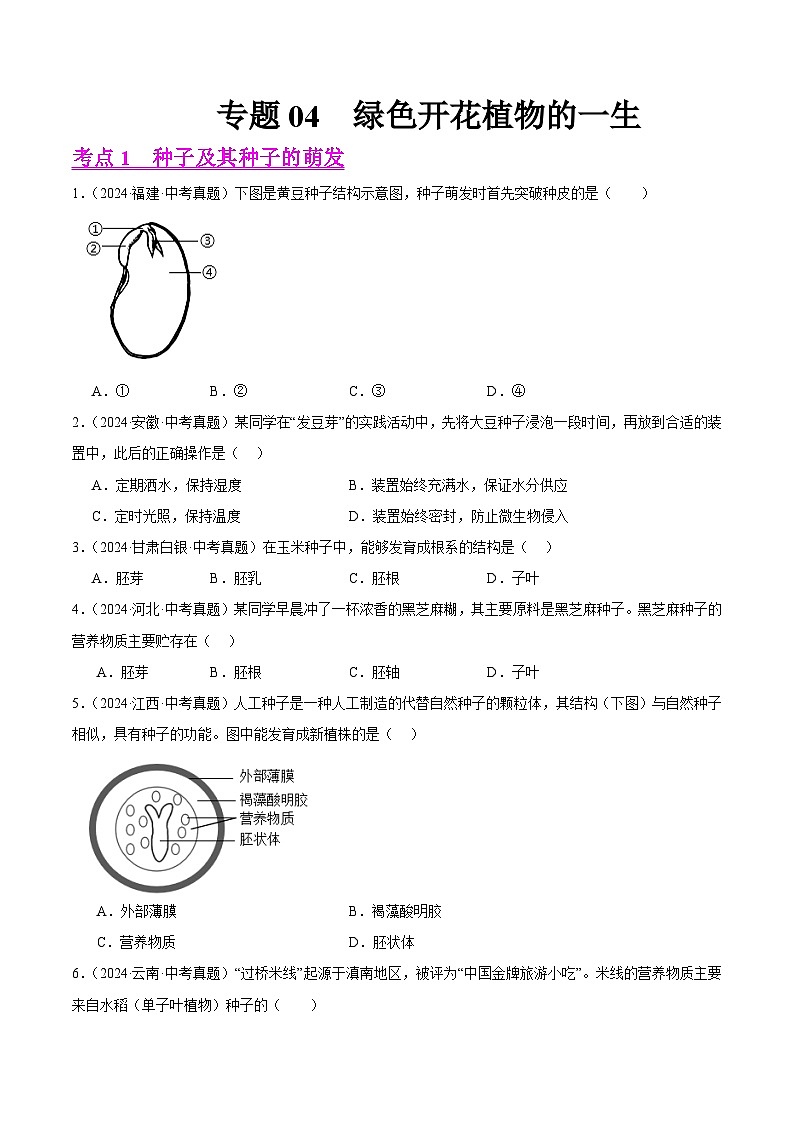 专题04  绿色开花植物的一生（教师卷+学生卷）- 2024年中考生物真题分类汇编（全国通用）01