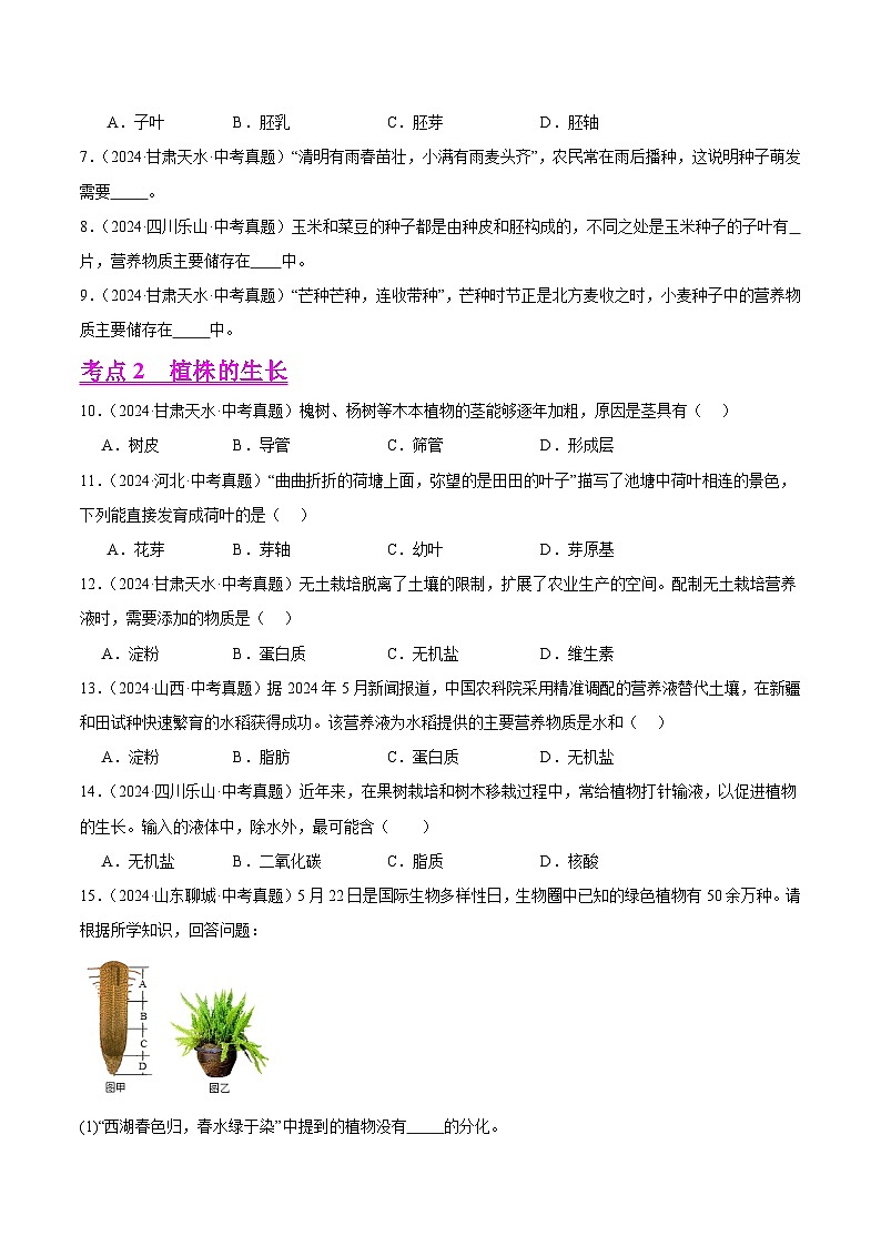 专题04  绿色开花植物的一生（教师卷+学生卷）- 2024年中考生物真题分类汇编（全国通用）02