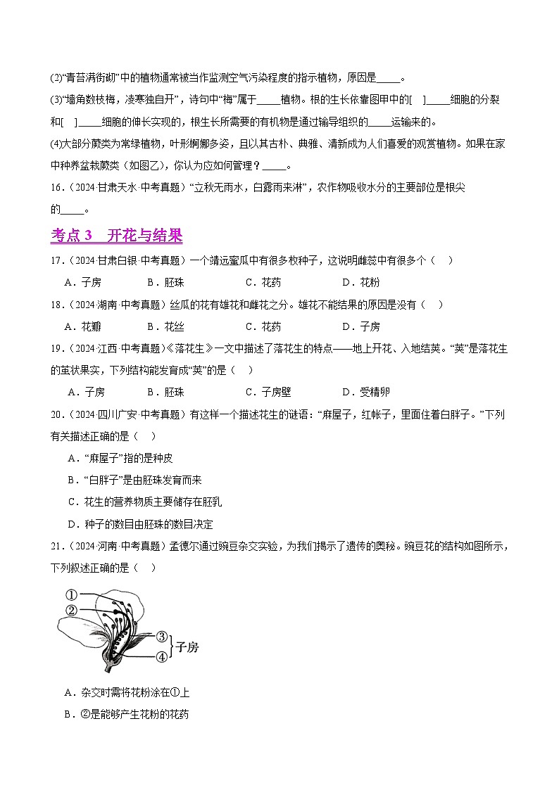 专题04  绿色开花植物的一生（教师卷+学生卷）- 2024年中考生物真题分类汇编（全国通用）03