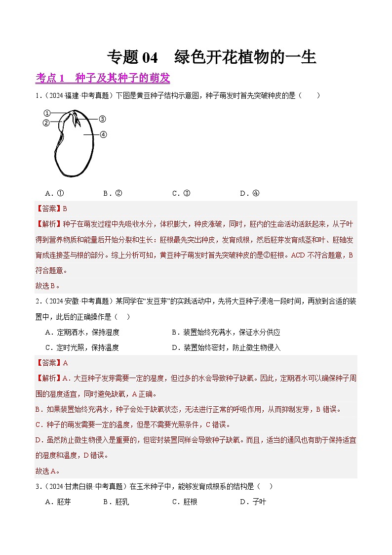 专题04  绿色开花植物的一生（教师卷+学生卷）- 2024年中考生物真题分类汇编（全国通用）01