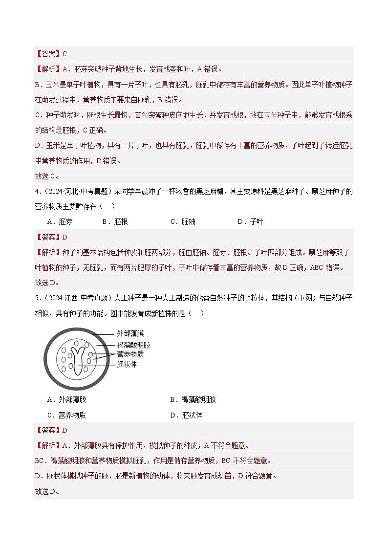 专题04  绿色开花植物的一生（教师卷+学生卷）- 2024年中考生物真题分类汇编（全国通用）02