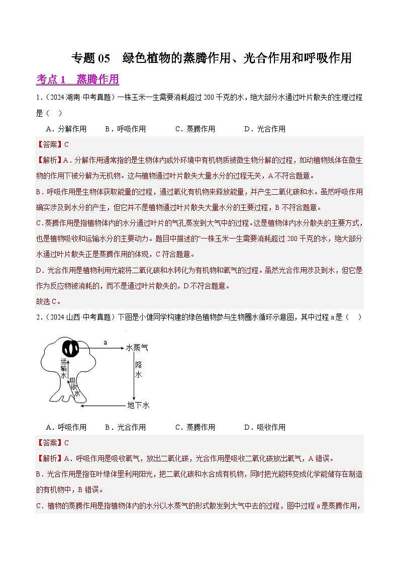 专题05  绿色植物的蒸腾作用、光合作用和呼吸作用（教师卷+学生卷）- 2024年中考生物真题分类汇编（全国通用）01