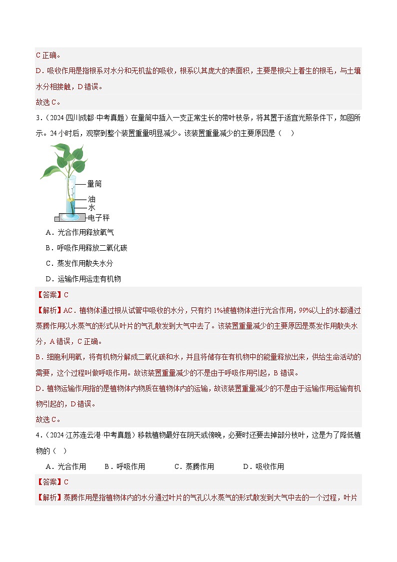 专题05  绿色植物的蒸腾作用、光合作用和呼吸作用（教师卷+学生卷）- 2024年中考生物真题分类汇编（全国通用）02
