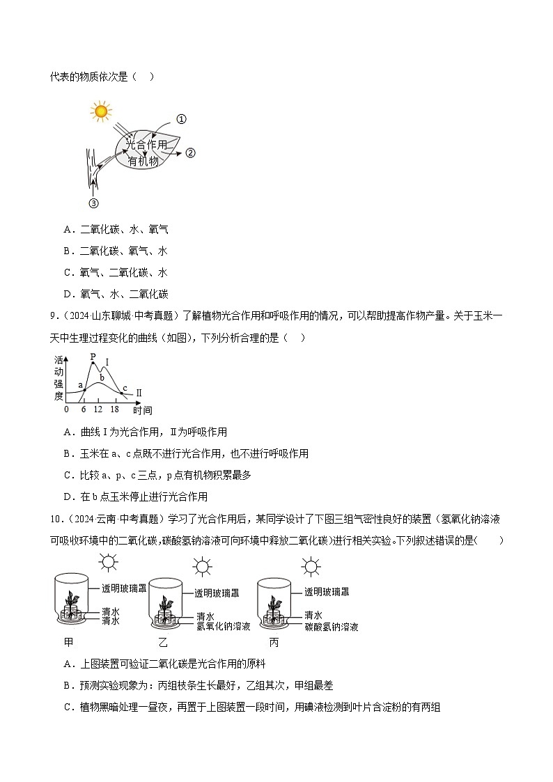 专题05  绿色植物的蒸腾作用、光合作用和呼吸作用（教师卷+学生卷）- 2024年中考生物真题分类汇编（全国通用）03