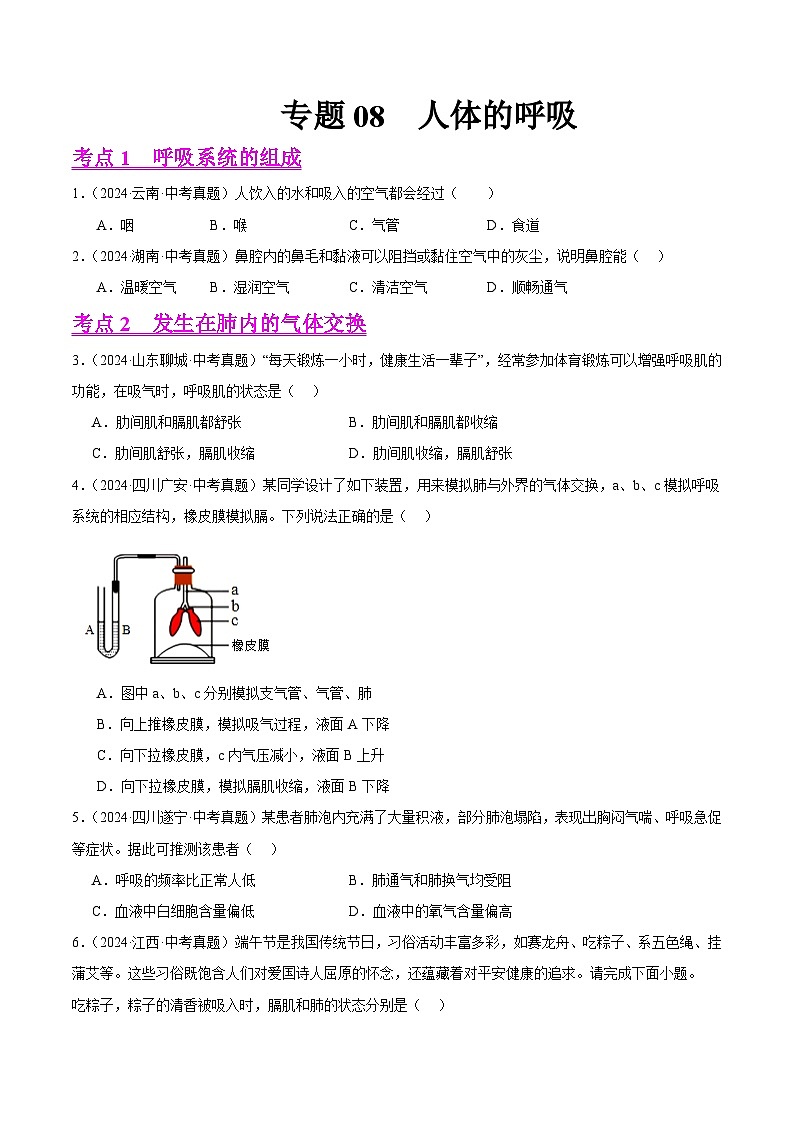 专题08  人体的呼吸（学生卷）- 2024年中考生物真题分类汇编（全国通用）第1页