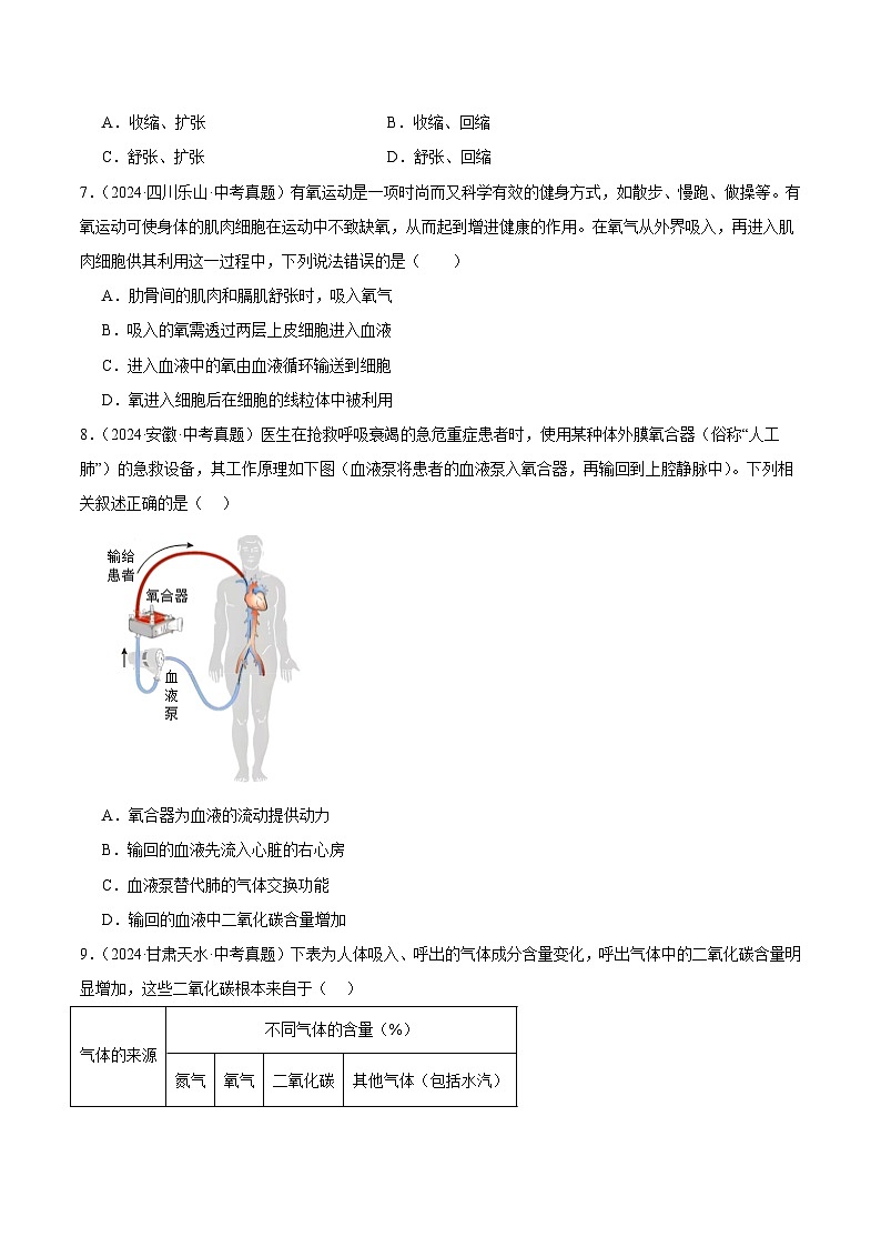 专题08  人体的呼吸（学生卷）- 2024年中考生物真题分类汇编（全国通用）第2页