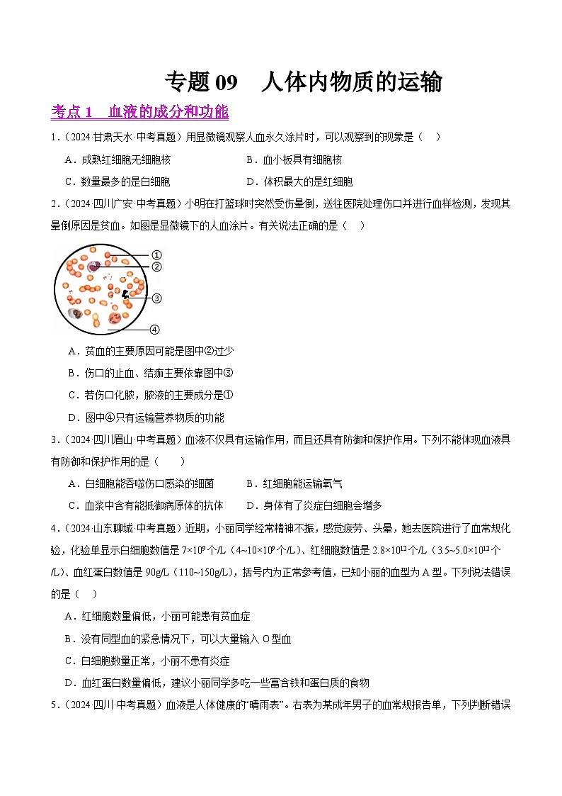 专题09  人体内物质的运输（学生卷）- 2024年中考生物真题分类汇编（全国通用）第1页