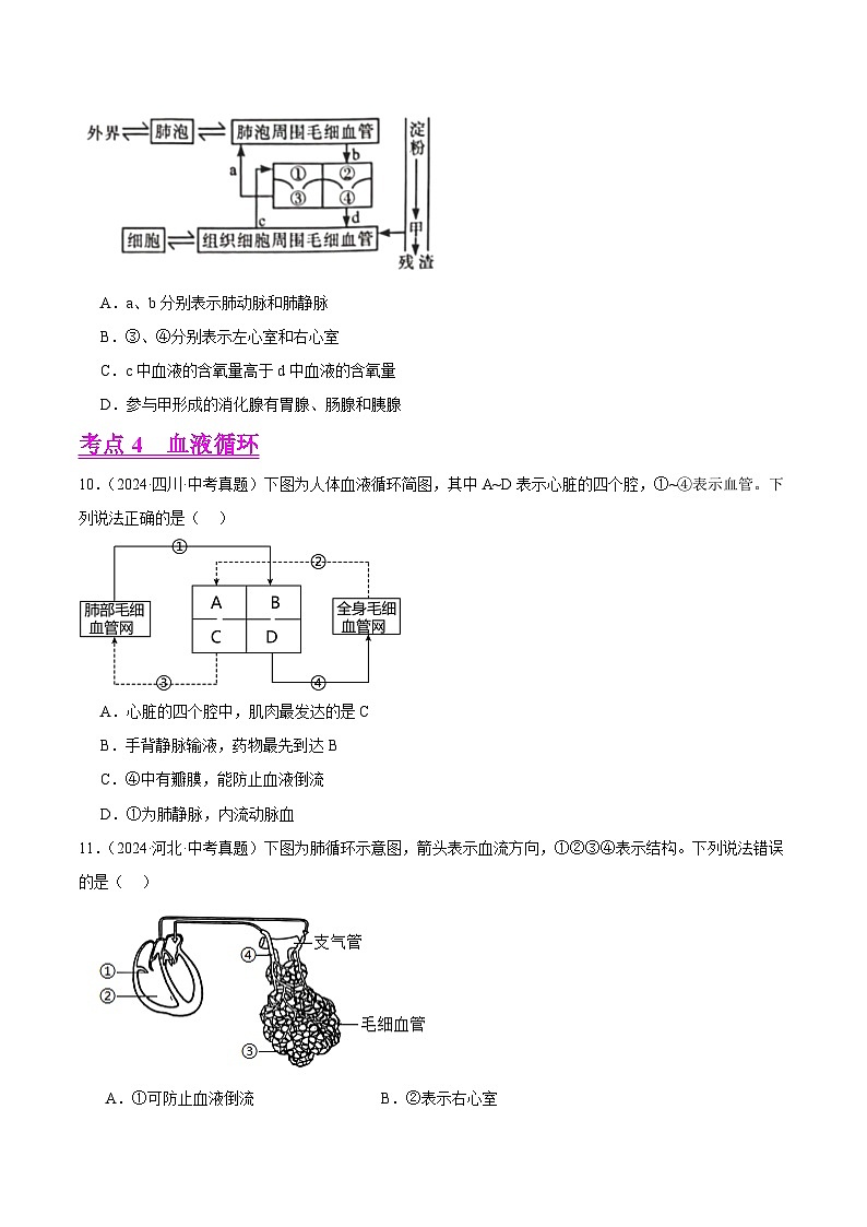 专题09  人体内物质的运输（学生卷）- 2024年中考生物真题分类汇编（全国通用）第3页