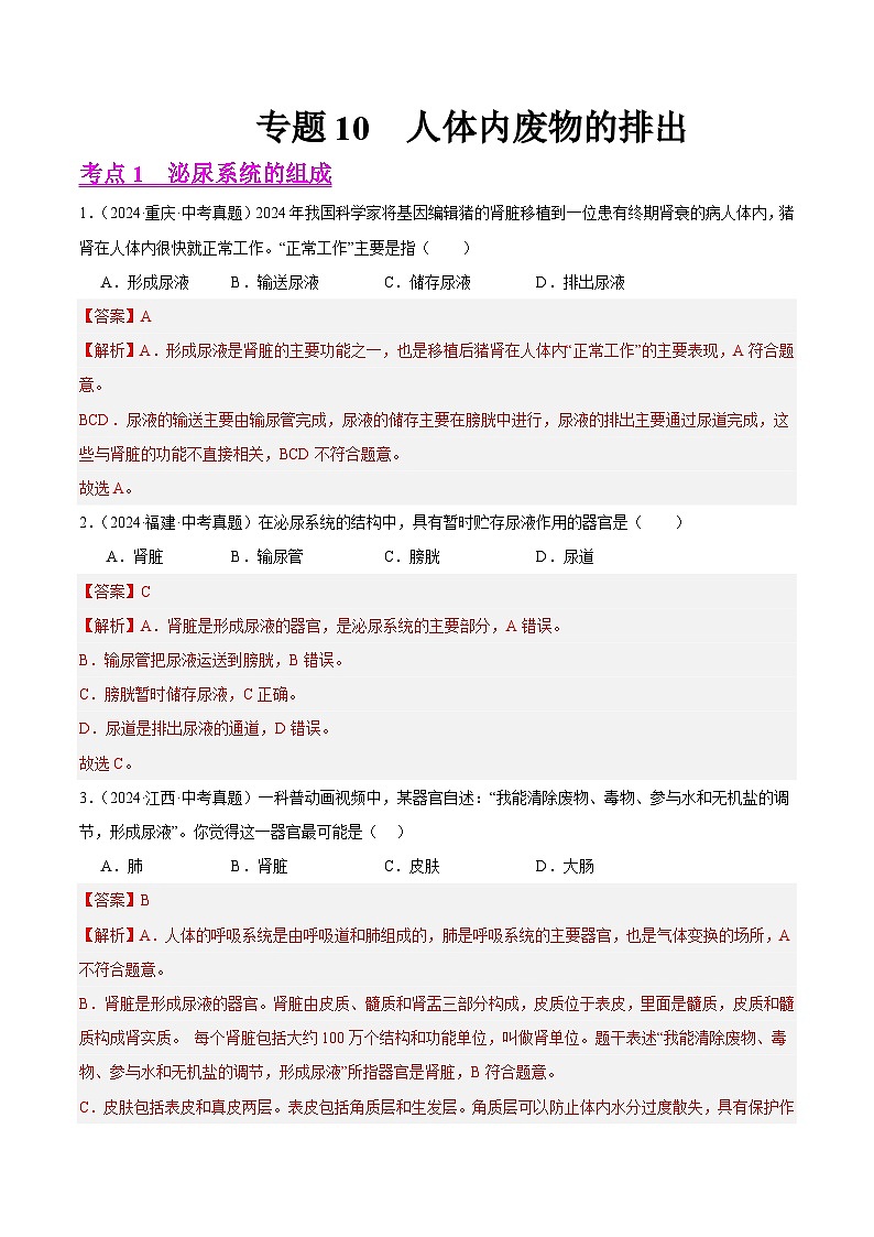专题10  人体内废物的排出（教师卷）- 2024年中考生物真题分类汇编（全国通用）第1页