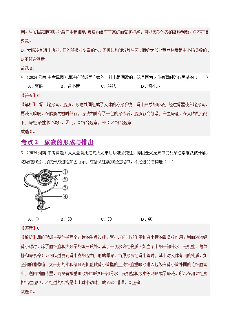 专题10  人体内废物的排出（教师卷）- 2024年中考生物真题分类汇编（全国通用）第2页