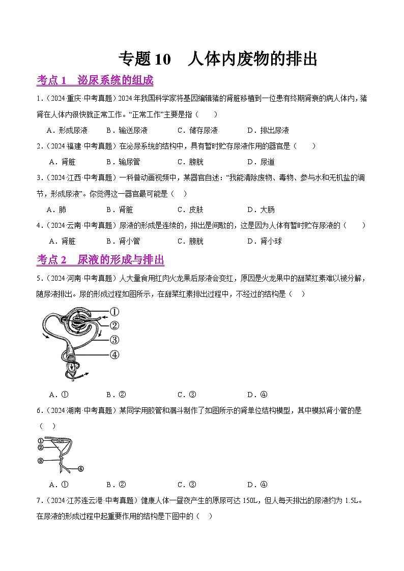专题10  人体内废物的排出（学生卷）- 2024年中考生物真题分类汇编（全国通用）第1页