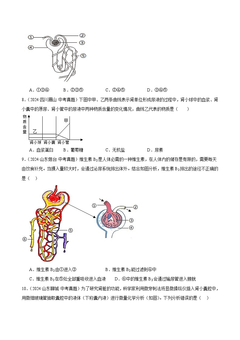 专题10  人体内废物的排出（学生卷）- 2024年中考生物真题分类汇编（全国通用）第2页