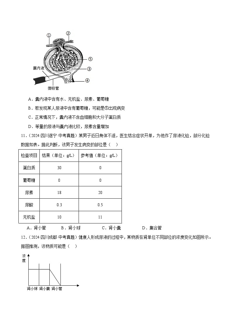 专题10  人体内废物的排出（学生卷）- 2024年中考生物真题分类汇编（全国通用）第3页