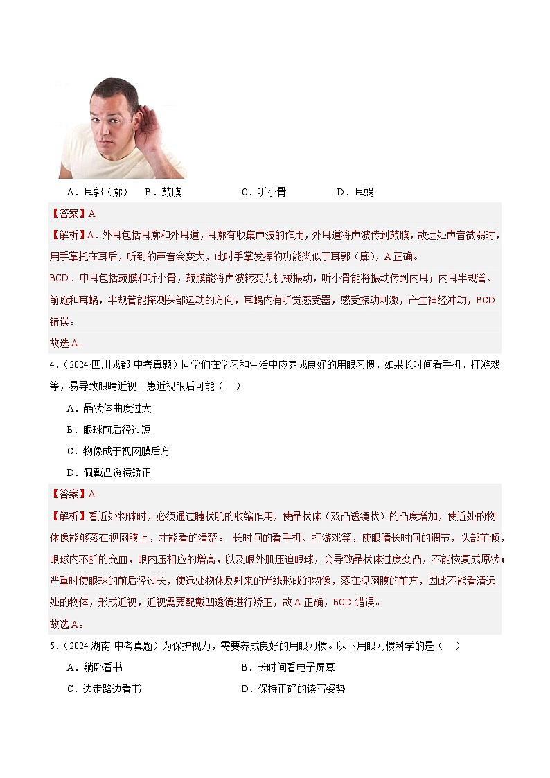 专题11  人体生命活动的调节（教师卷+学生卷）- 2024年中考生物真题分类汇编（全国通用）02