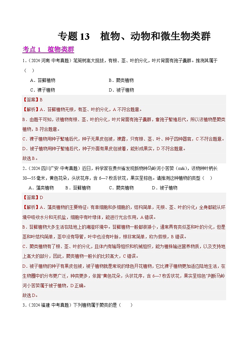 专题13  植物、动物和微生物类群（教师卷+学生卷）- 2024年中考生物真题分类汇编（全国通用）01