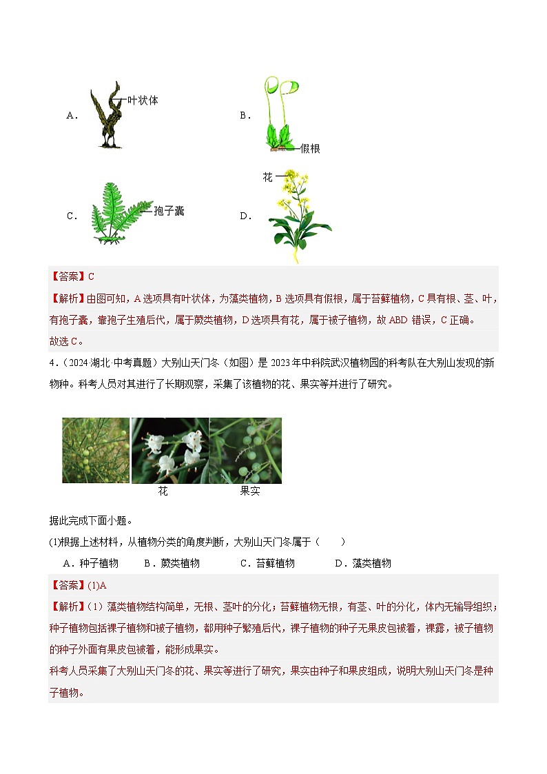 专题13  植物、动物和微生物类群（教师卷+学生卷）- 2024年中考生物真题分类汇编（全国通用）02