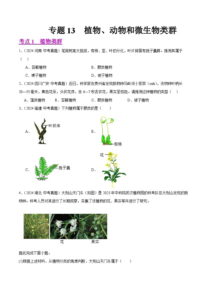 专题13  植物、动物和微生物类群（教师卷+学生卷）- 2024年中考生物真题分类汇编（全国通用）01