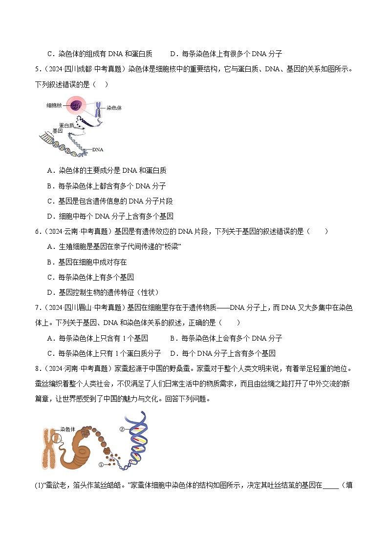 专题16  生物的遗传和变异（学生卷）- 2024年中考生物真题分类汇编（全国通用）第2页