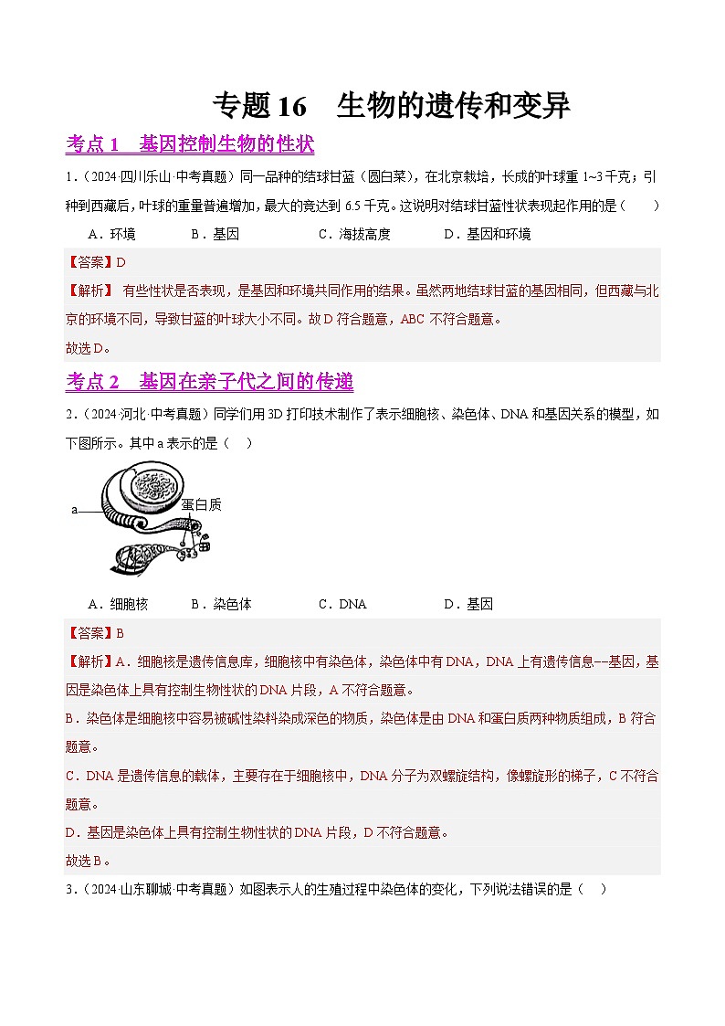 专题16  生物的遗传和变异（教师卷）- 2024年中考生物真题分类汇编（全国通用）第1页