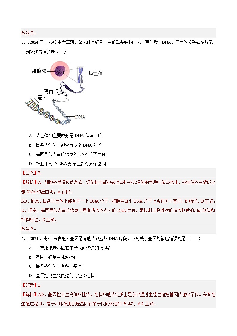 专题16  生物的遗传和变异（教师卷）- 2024年中考生物真题分类汇编（全国通用）第3页