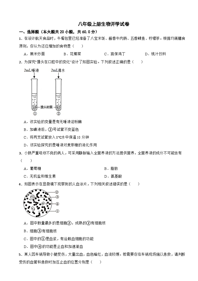 河北省石家庄市2024年八年级上册生物开学试卷附答案01