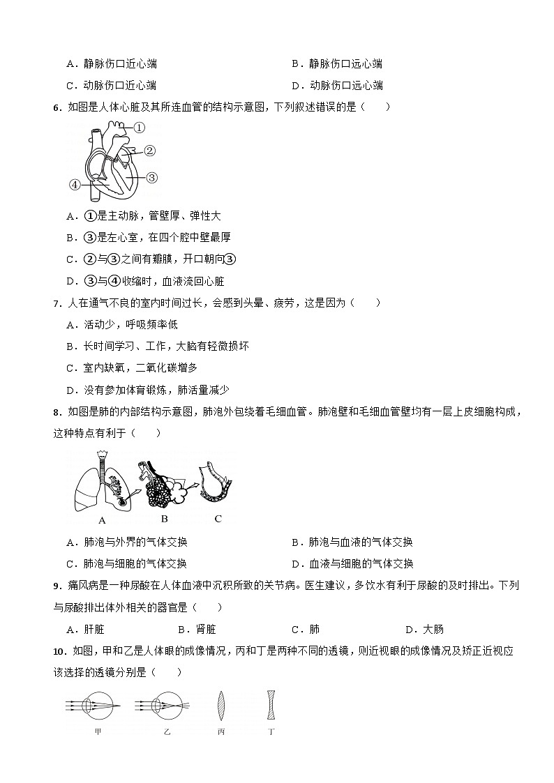 河北省石家庄市2024年八年级上册生物开学试卷附答案02