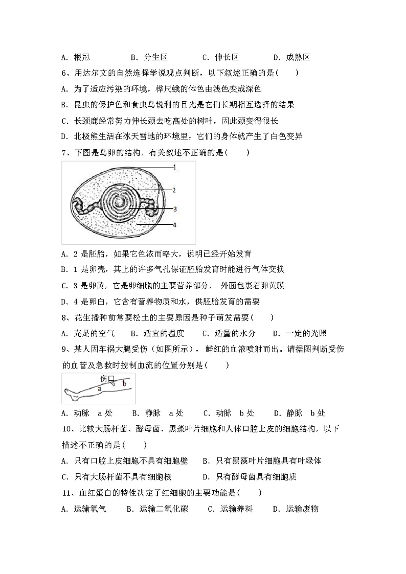 北师大版八年级生物上册期中试卷（含答案）02