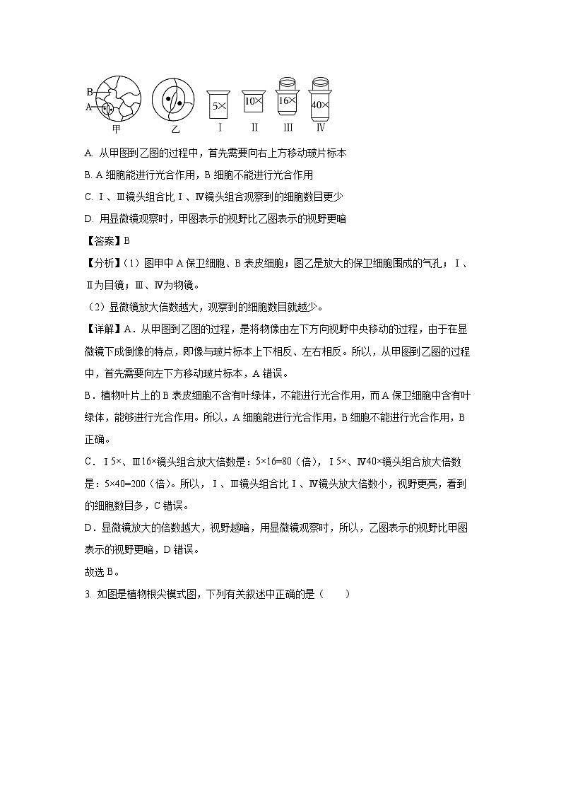 [生物]江苏省盐城市大丰区2023-2024学年八年级下学期5月月考试题(解析版)第2页