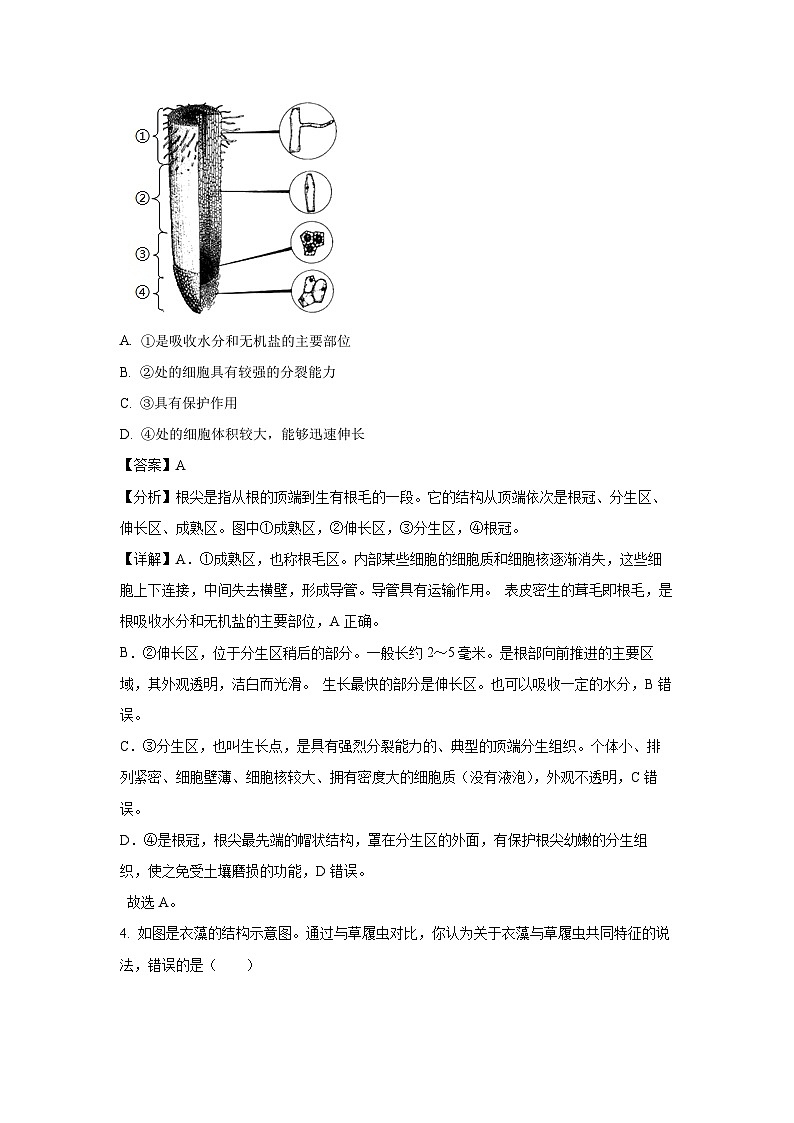 [生物]江苏省盐城市大丰区2023-2024学年八年级下学期5月月考试题(解析版)第3页