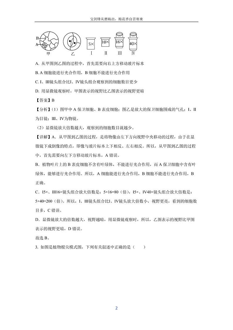 [生物]江苏省盐城市大丰区2023-2024学年八年级下学期5月月考试题(解析版)第2页