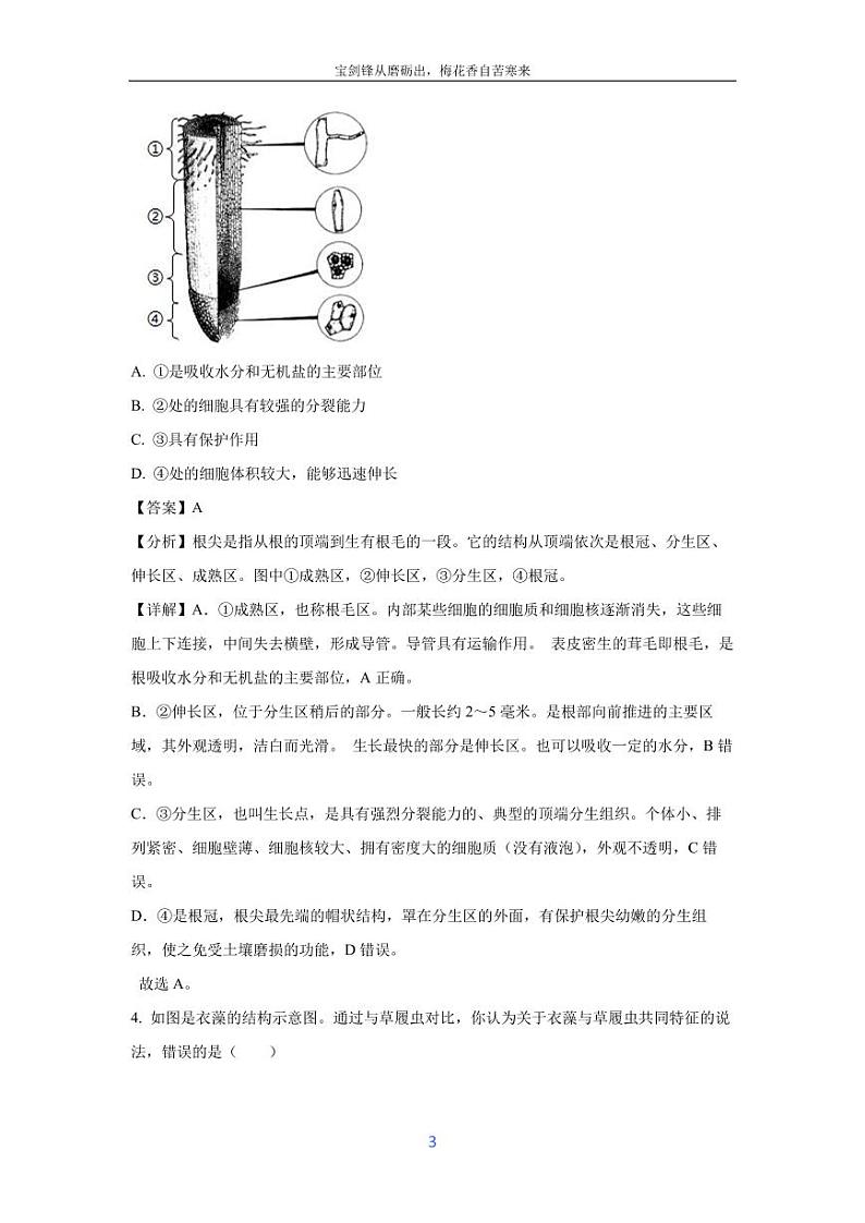 [生物]江苏省盐城市大丰区2023-2024学年八年级下学期5月月考试题(解析版)第3页