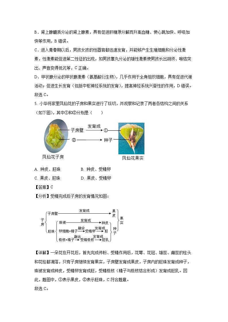 [生物]2024年山西省朔州市右玉县百校联考中考模拟预测试题(解析版)03