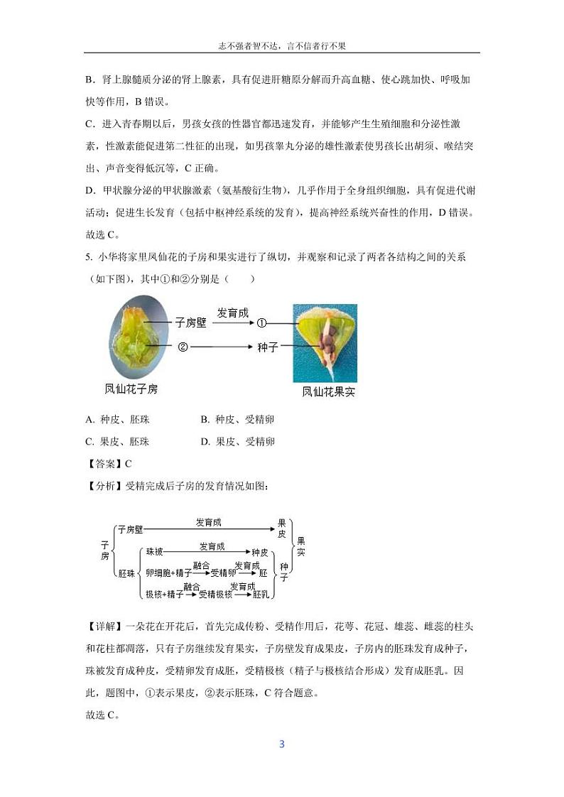 [生物]2024年山西省朔州市右玉县百校联考中考模拟预测试题(解析版)03