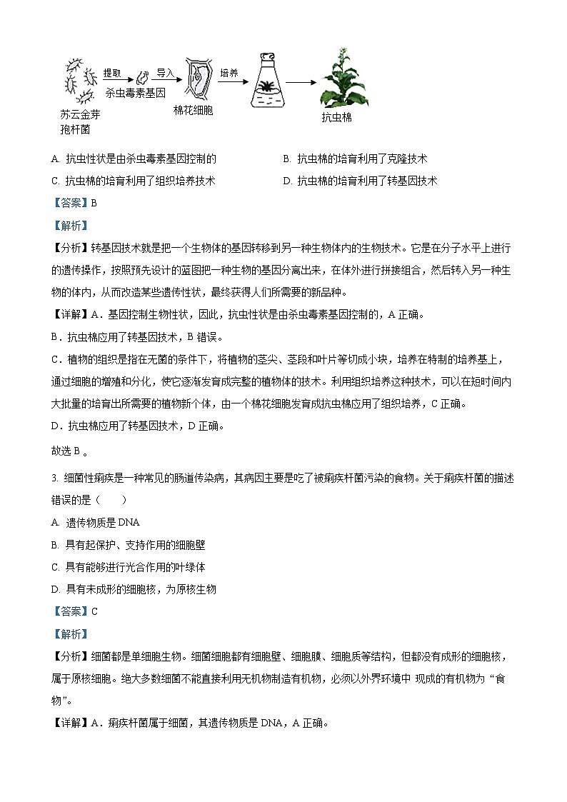 2024年广西防城港市中考二模生物试题（原卷版+解析版）02