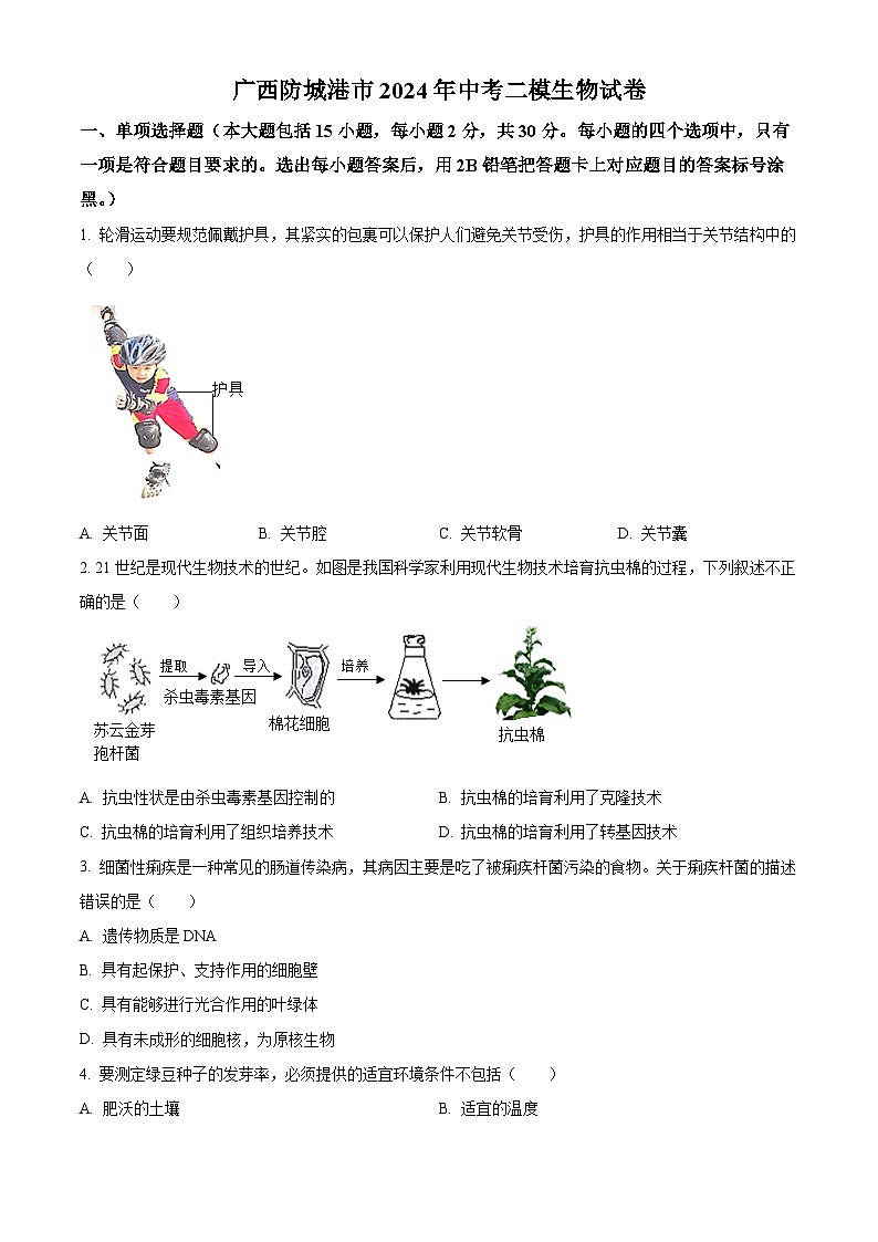 2024年广西防城港市中考二模生物试题（原卷版+解析版）01