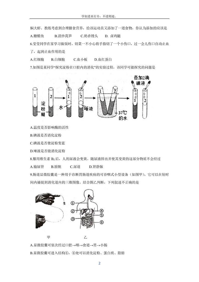 [生物][期末]四川省绵阳市江油市2023-2024学年七年级下学期期末考试试卷第2页