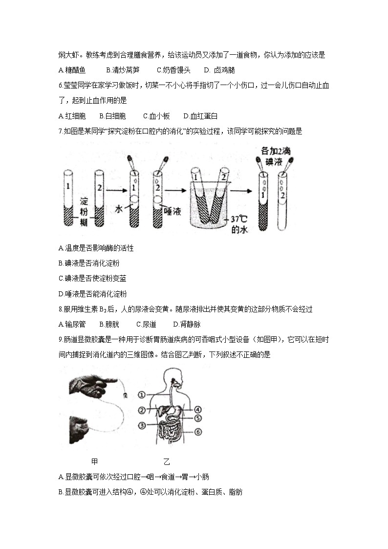 [生物][期末]四川省绵阳市江油市2023-2024学年七年级下学期期末考试试卷第2页