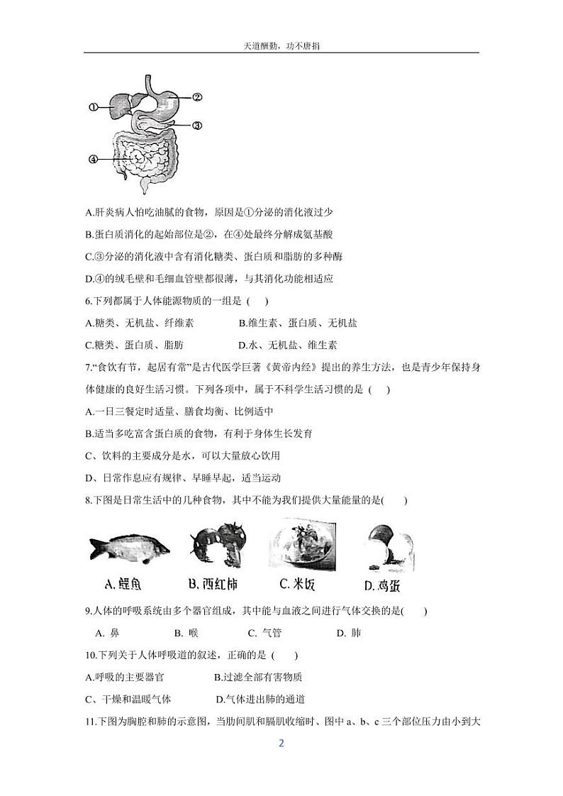 [生物][期末]河北省沧州市海兴县2023-2024学年七年级下学期期末试卷02