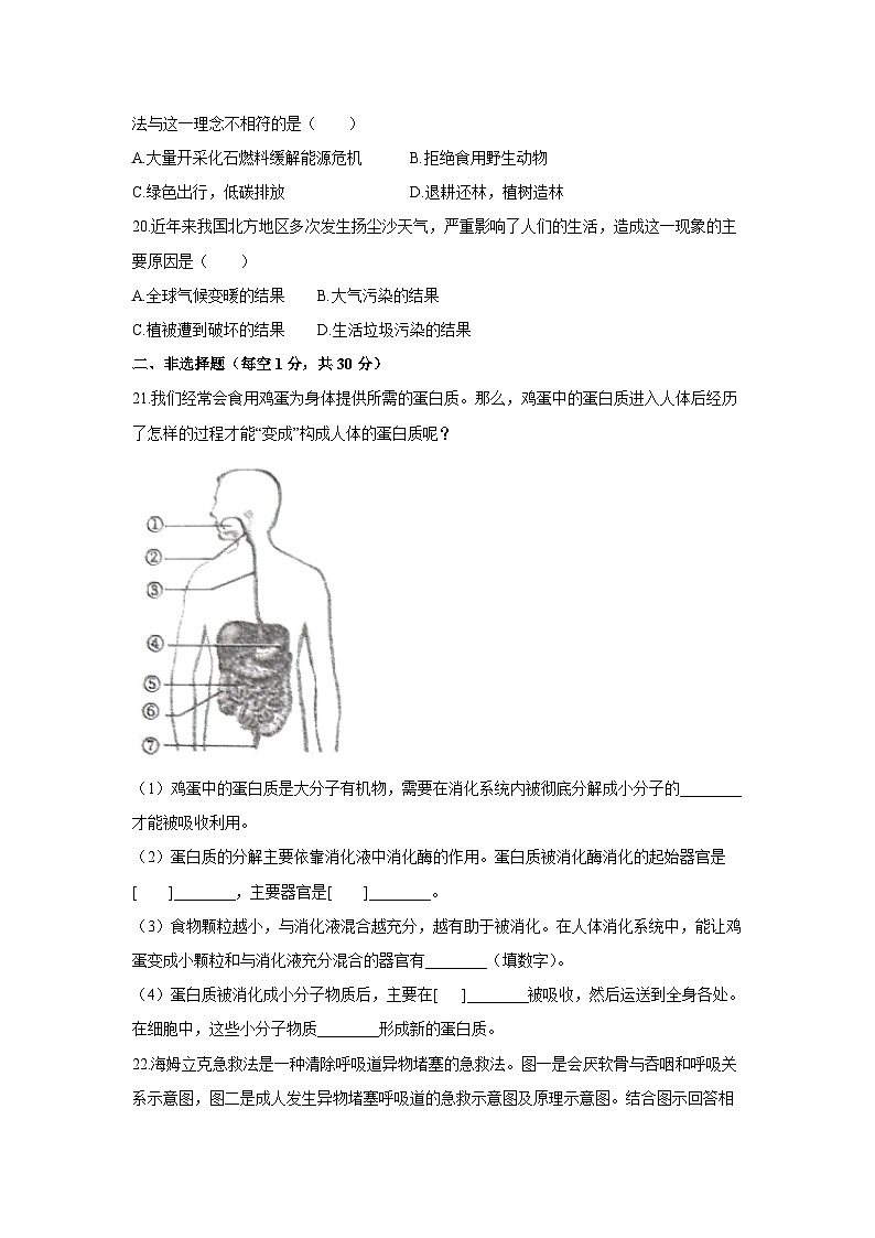 [生物][期末]河南省商丘市夏邑县2023-2024学年七年级下学期7月期末试题第3页