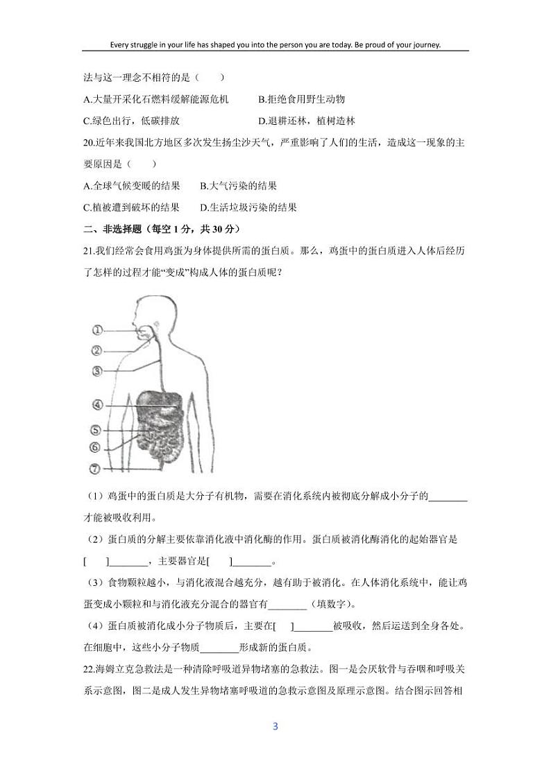 [生物][期末]河南省商丘市夏邑县2023-2024学年七年级下学期7月期末试题第3页