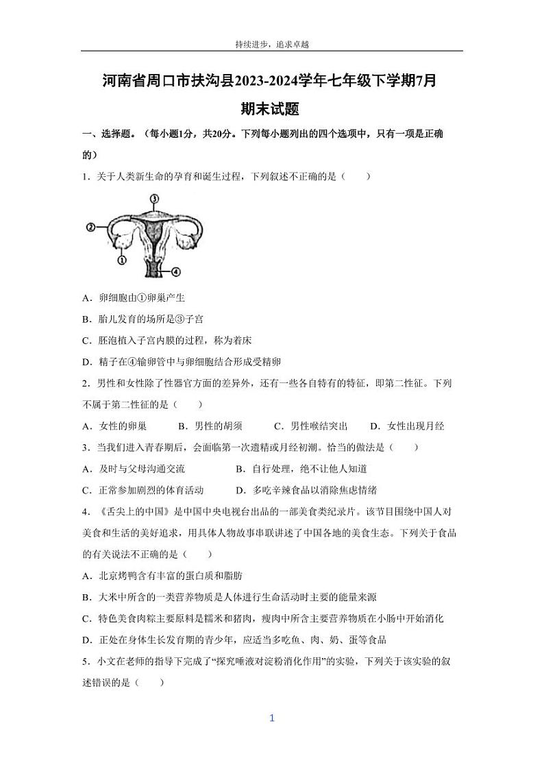 [生物][期末]河南省周口市扶沟县2023-2024学年七年级下学期7月期末试题第1页